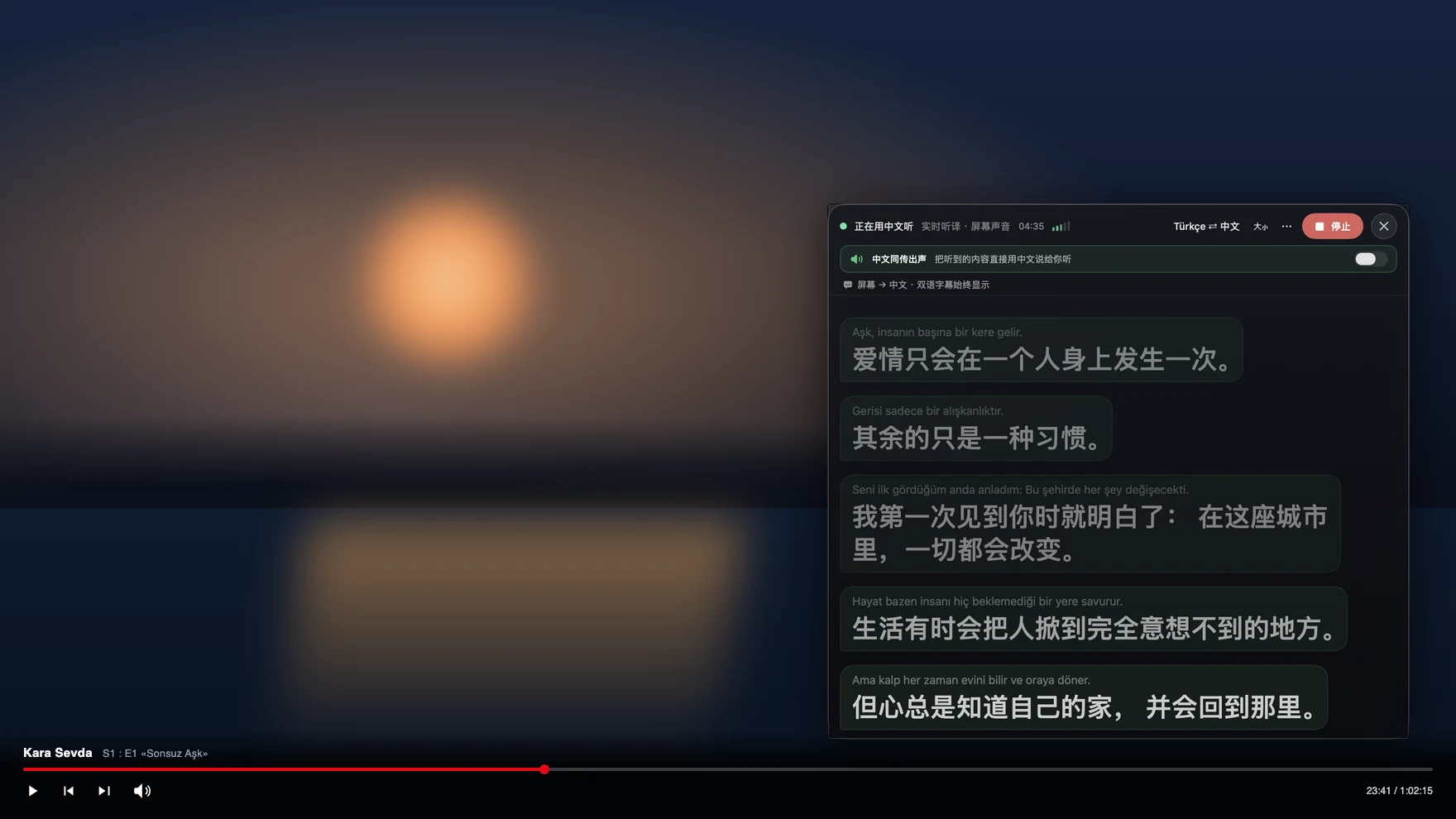 Netflix 实时翻译字幕